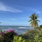 colorful-shoreline