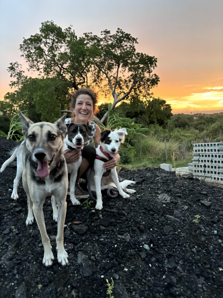 fosterdogs