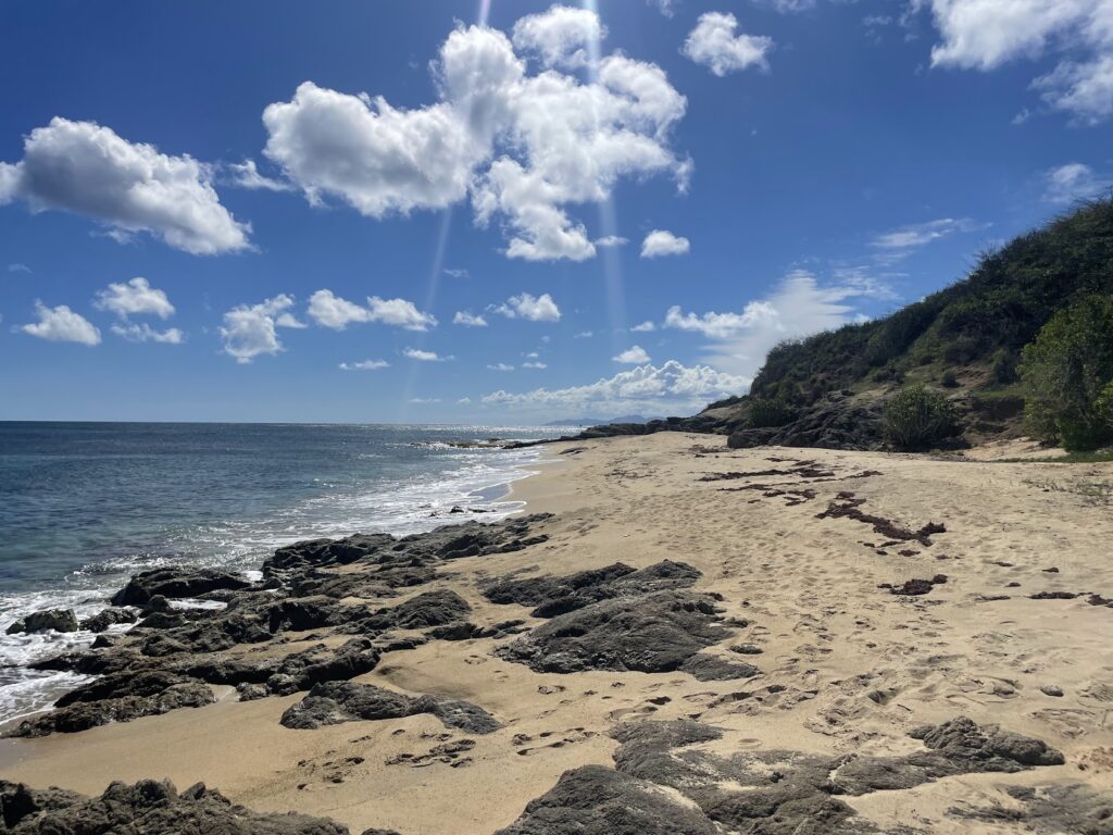 beach-point-visit-us