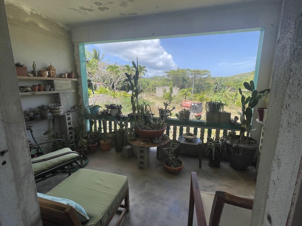 cactus-porch-visit-us