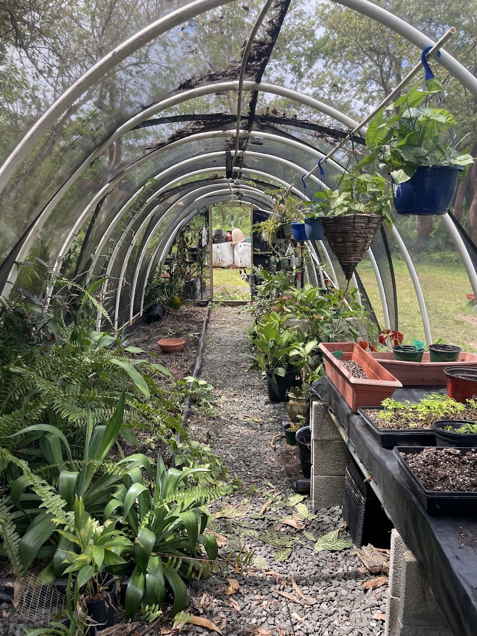 greenhouse-sanctuary