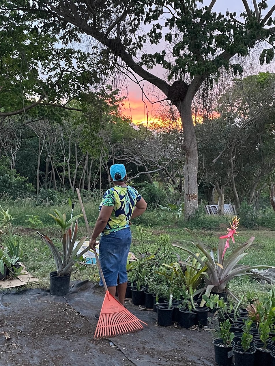 irma-farm-sanctuary